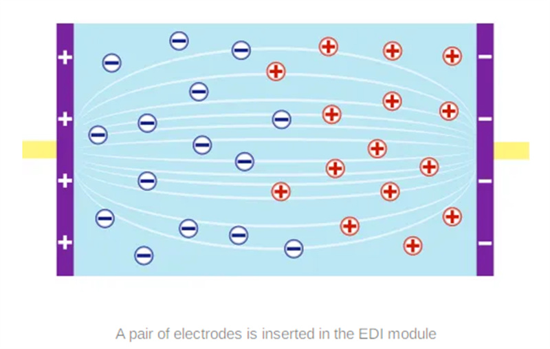 EDI06