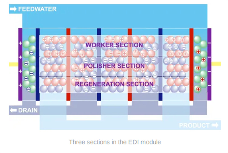 EDI 11